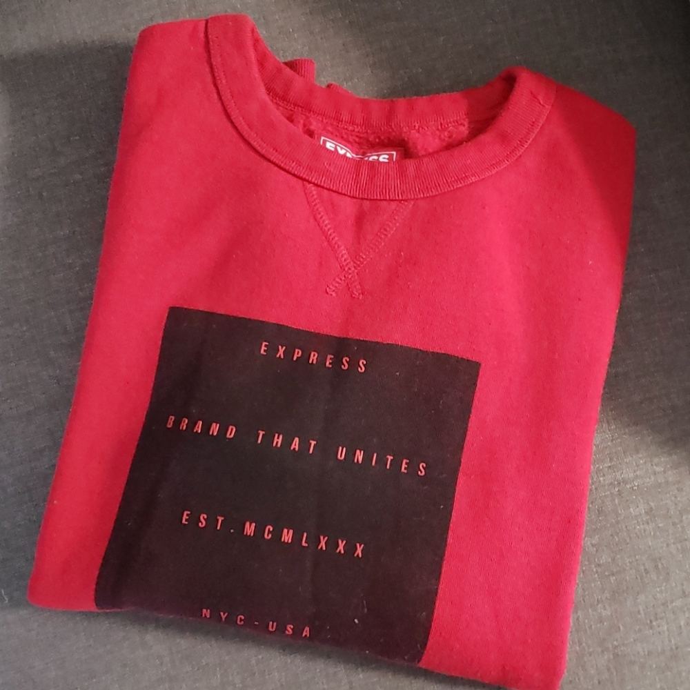 Express men sweater